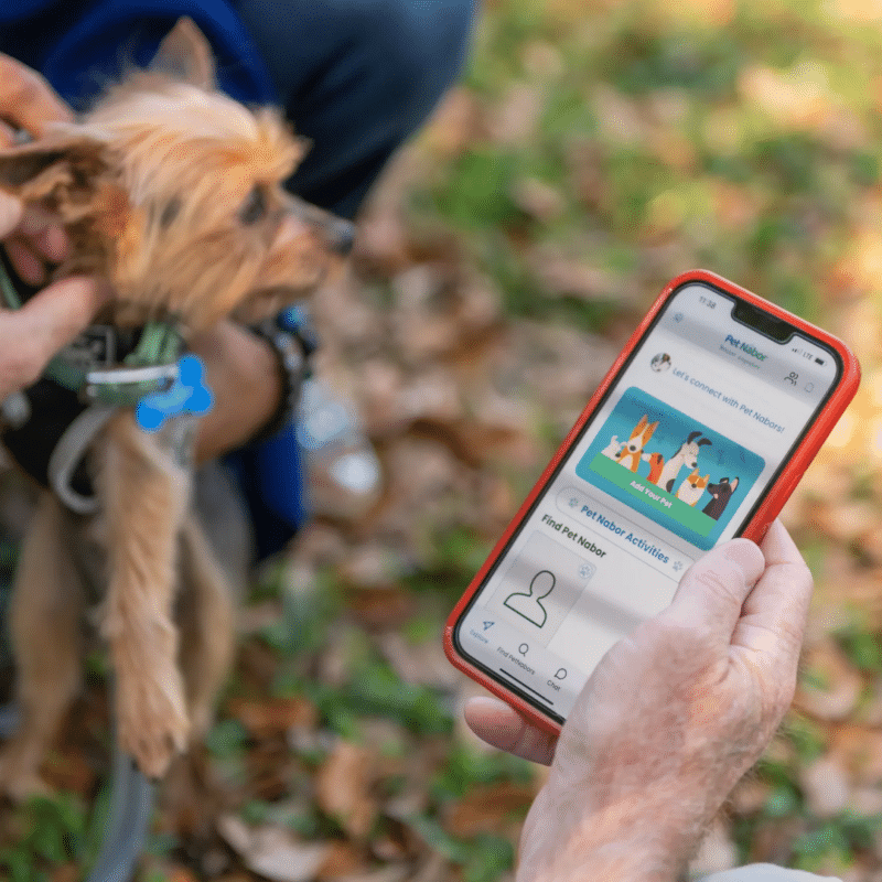 Pet Nabor Mobile App - a pet co-parenting app for you and your neighbors