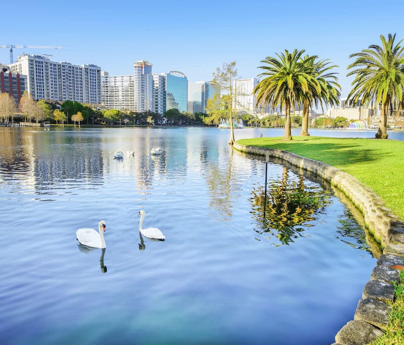 Orlando is home to several pet friendly neighborhoods.