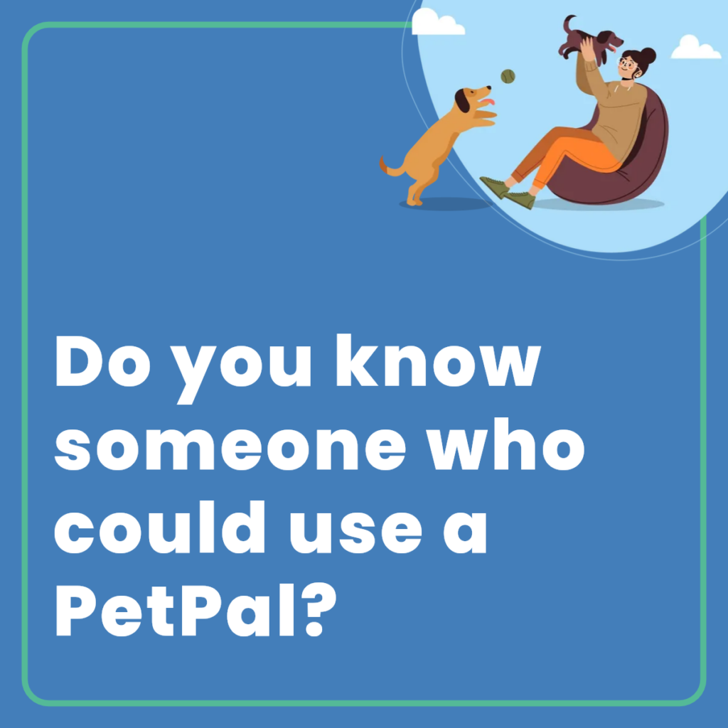 Pet CoParenting Benefits Pet Nabor