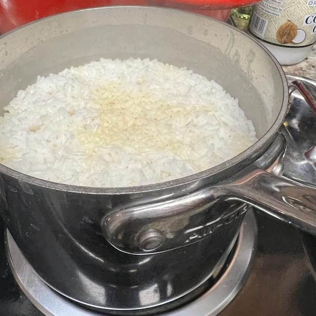 Pet Recipe: Boil the rice for the chicken and rice recipe